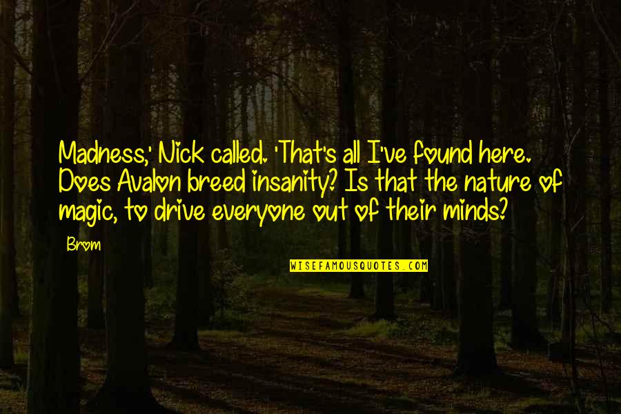 Nick's Quotes By Brom: Madness,' Nick called. 'That's all I've found here.