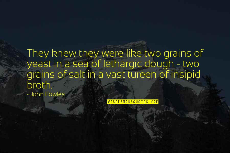 Nicky Haslam Quotes By John Fowles: They knew they were like two grains of