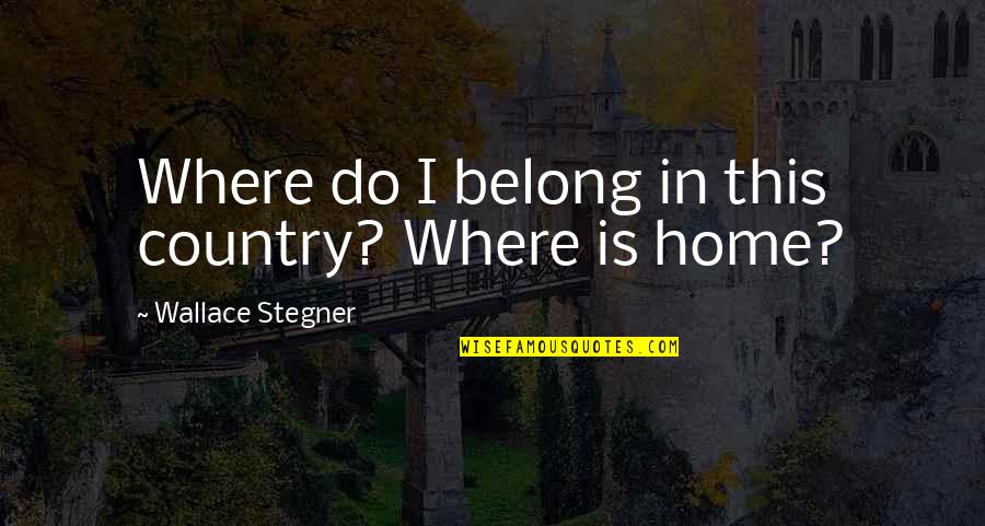 Nicola Abbagnano Quotes By Wallace Stegner: Where do I belong in this country? Where