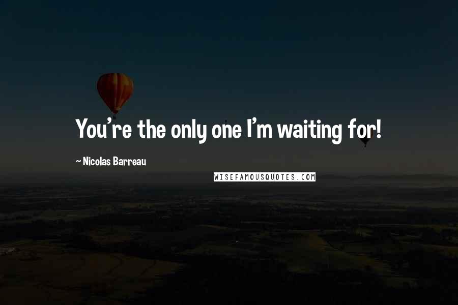 Nicolas Barreau quotes: You're the only one I'm waiting for!