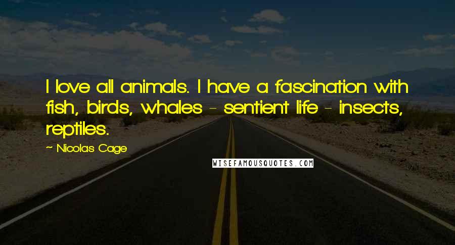 Nicolas Cage quotes: I love all animals. I have a fascination with fish, birds, whales - sentient life - insects, reptiles.