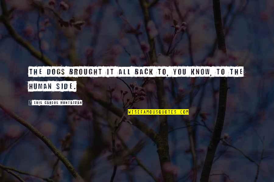 Nicole Hiyala And Chris Tsuper Quotes By Luis Carlos Montalvan: The dogs brought it all back to, you Nicole Hiyala And Chris Tsuper Quotes By Luis Carlos Montalvan: The dogs brought it all back to, you