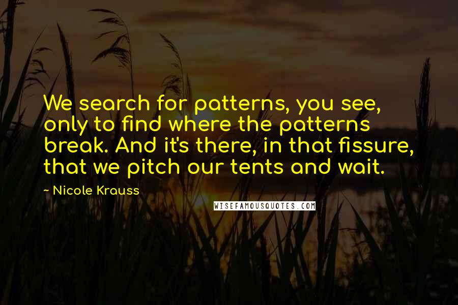 Nicole Krauss quotes: We search for patterns, you see, only to find where the patterns break. And it's there, in that fissure, that we pitch our tents and wait. Nicole Krauss quotes: We search for patterns, you see, only to find where the patterns break. And it's there, in that fissure, that we pitch our tents and wait.