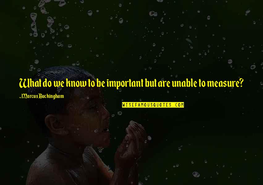 Niculae Cristian Quotes By Marcus Buckingham: What do we know to be important but Niculae Cristian Quotes By Marcus Buckingham: What do we know to be important but