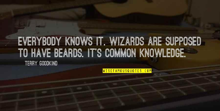 Nidas Vlog Quotes By Terry Goodkind: Everybody knows it. Wizards are supposed to have