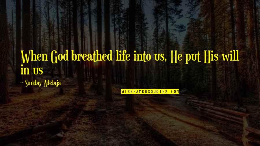 Nidasi Quotes By Sunday Adelaja: When God breathed life into us, He put
