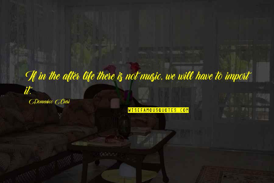 Niddrie Addams Quotes By Domenico Cieri: If in the after life there is not Niddrie Addams Quotes By Domenico Cieri: If in the after life there is not