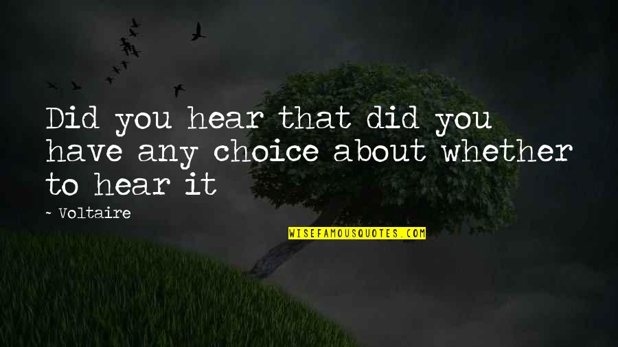 Niddrie Community Quotes By Voltaire: Did you hear that did you have any
