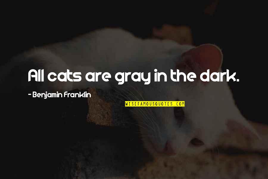 Niebieskie Ptaszki Quotes By Benjamin Franklin: All cats are gray in the dark.