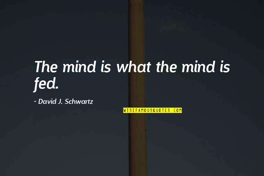 Niederbracht Quotes By David J. Schwartz: The mind is what the mind is fed.
