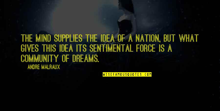Niederhoffer Quotes By Andre Malraux: The mind supplies the idea of a nation, Niederhoffer Quotes By Andre Malraux: The mind supplies the idea of a nation,