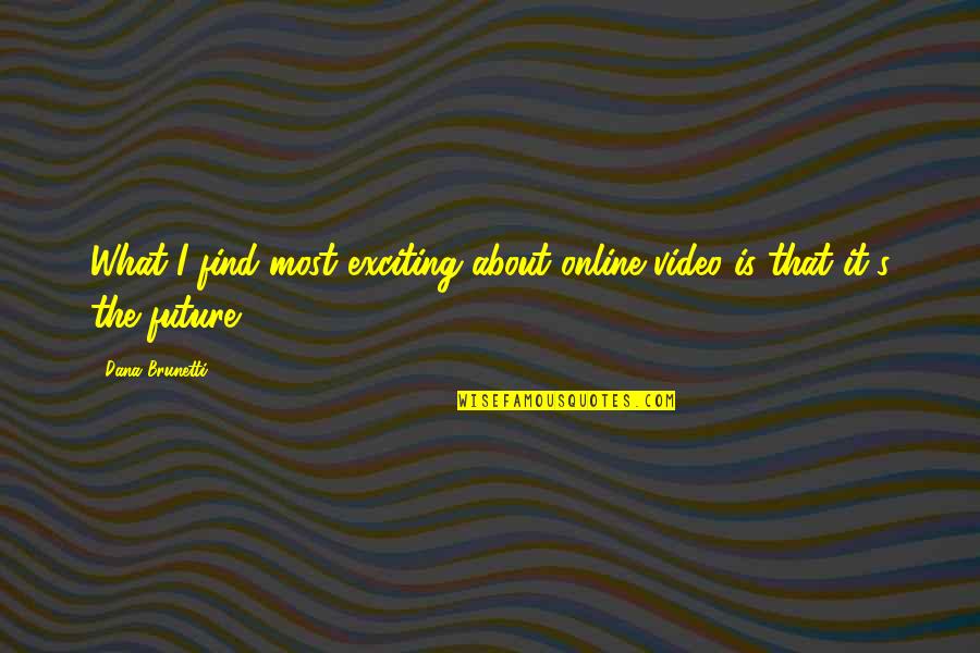 Niederpruem Ann Quotes By Dana Brunetti: What I find most exciting about online video