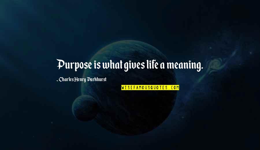 Nieko Mann Quotes By Charles Henry Parkhurst: Purpose is what gives life a meaning.