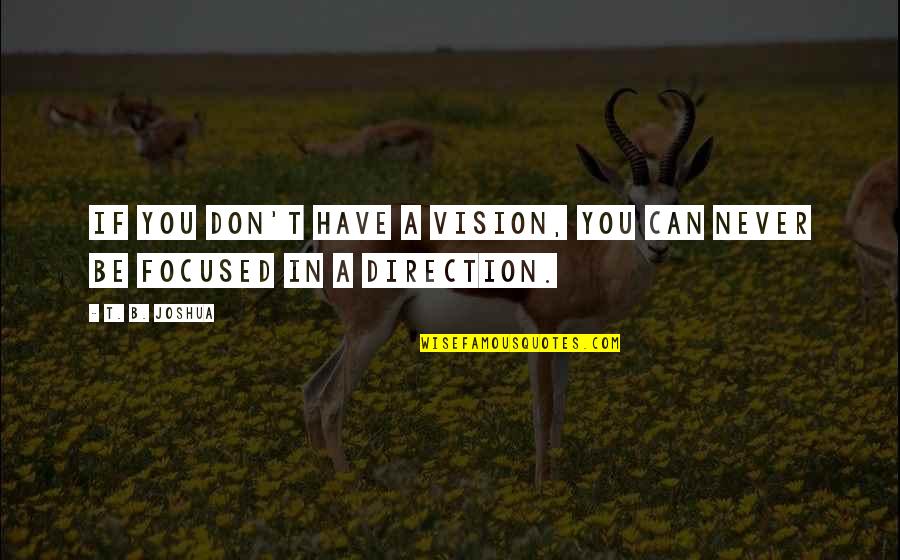 Nielsens Quotes By T. B. Joshua: If you don't have a vision, you can