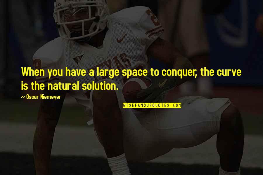 Niemeyer's Quotes By Oscar Niemeyer: When you have a large space to conquer,