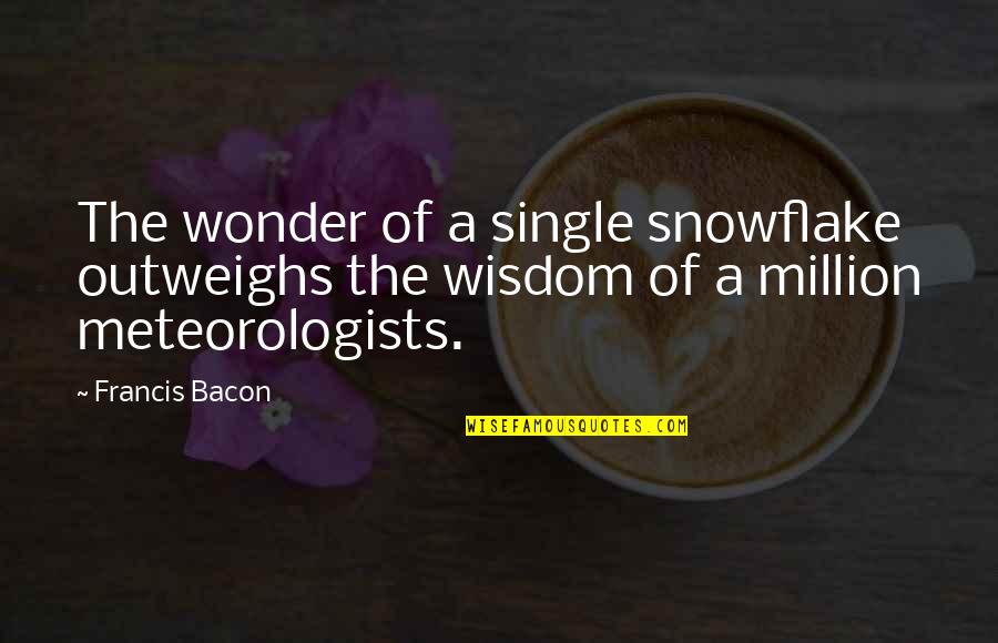 Nierenstein Schmerzen Quotes By Francis Bacon: The wonder of a single snowflake outweighs the