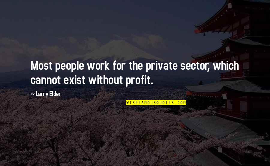 Nietos Garden Quotes By Larry Elder: Most people work for the private sector, which