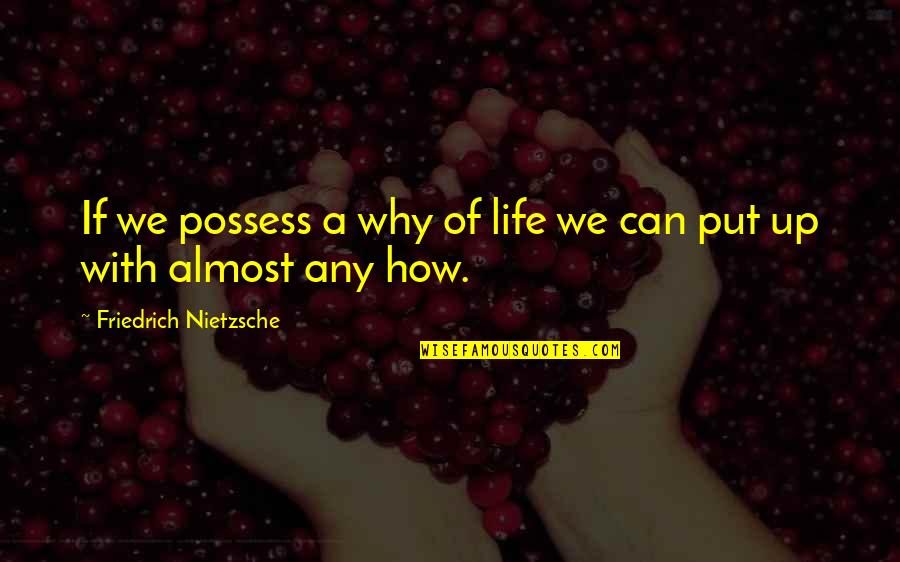 Nietzsche Existentialism Quotes By Friedrich Nietzsche: If we possess a why of life we