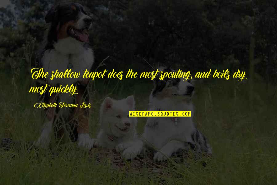 Niewielkie Quotes By Elizabeth Foreman Lewis: The shallow teapot does the most spouting, and Niewielkie Quotes By Elizabeth Foreman Lewis: The shallow teapot does the most spouting, and