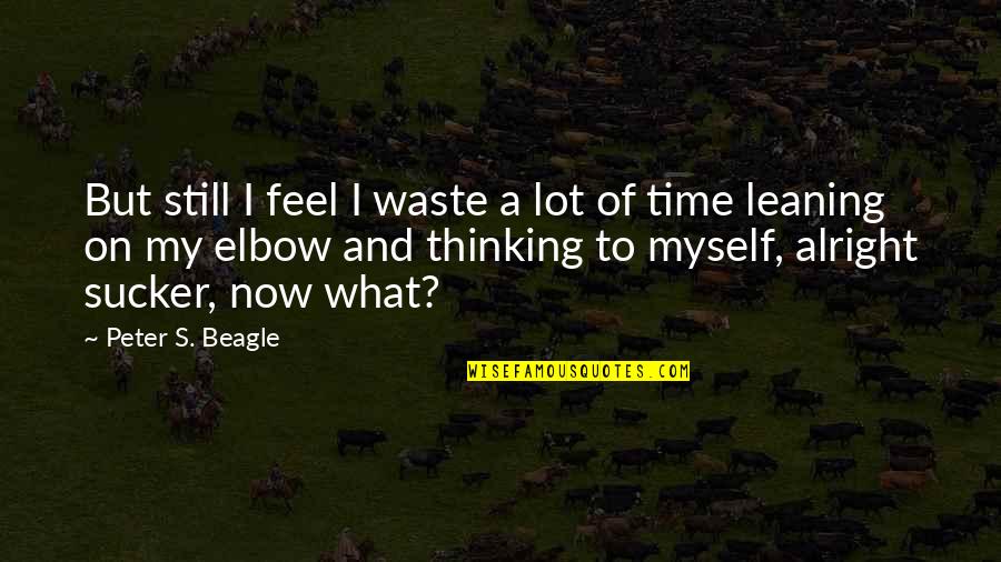 Niffelheim Quotes By Peter S. Beagle: But still I feel I waste a lot