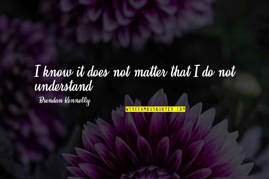 Nigar Johar Quotes By Brendan Kennelly: I know it does not matter that I