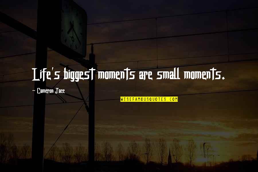 Nigel Koala Quotes By Cameron Jace: Life's biggest moments are small moments.