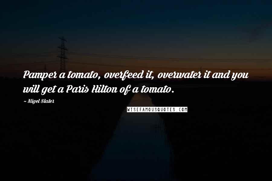 Nigel Slater quotes: Pamper a tomato, overfeed it, overwater it and you will get a Paris Hilton of a tomato.