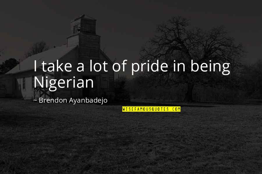 Nigerian Quotes By Brendon Ayanbadejo: I take a lot of pride in being