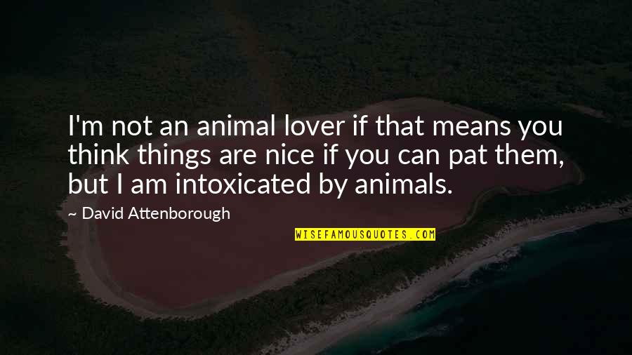 Niggemann Real Estate Quotes By David Attenborough: I'm not an animal lover if that means Niggemann Real Estate Quotes By David Attenborough: I'm not an animal lover if that means