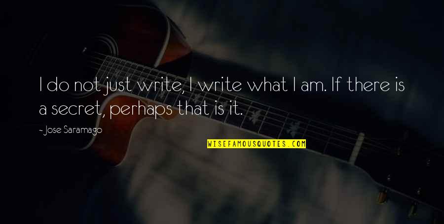 Nigglywiggly Hersheys Quotes By Jose Saramago: I do not just write, I write what