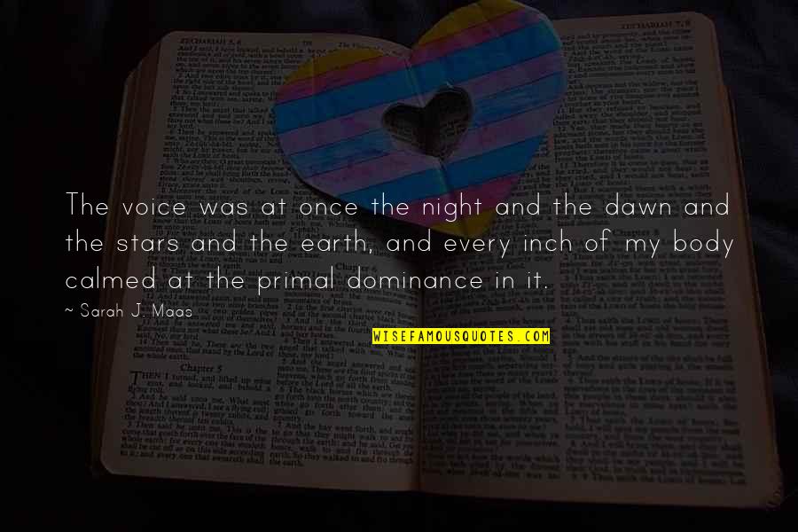 Night And Quotes By Sarah J. Maas: The voice was at once the night and