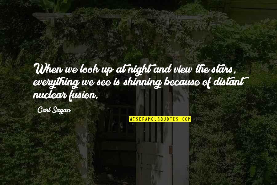 Night And Stars Quotes By Carl Sagan: When we look up at night and view