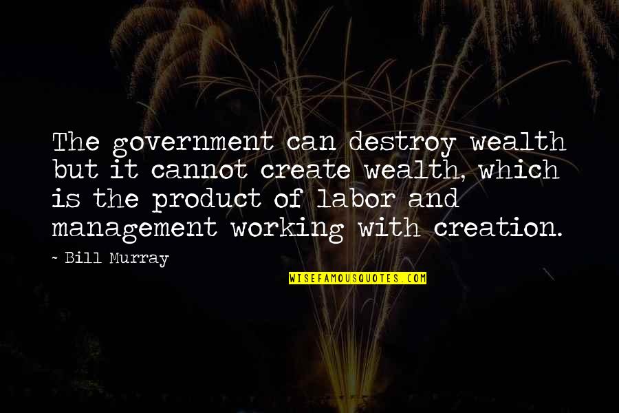 Night Birds Quotes By Bill Murray: The government can destroy wealth but it cannot