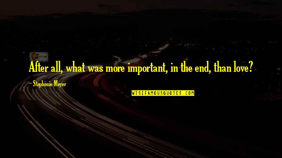 Night Bugs Attracted Quotes By Stephenie Meyer: After all, what was more important, in the