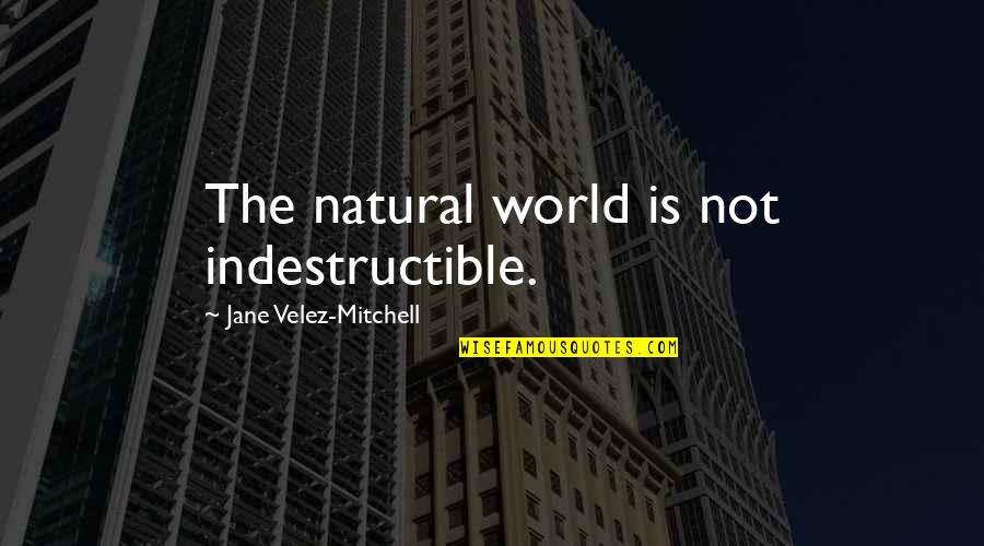 Night Club Quotes By Jane Velez-Mitchell: The natural world is not indestructible.