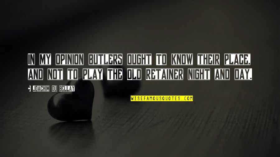 Night Day Quotes By Joachim Du Bellay: In my opinion butlers ought To know their