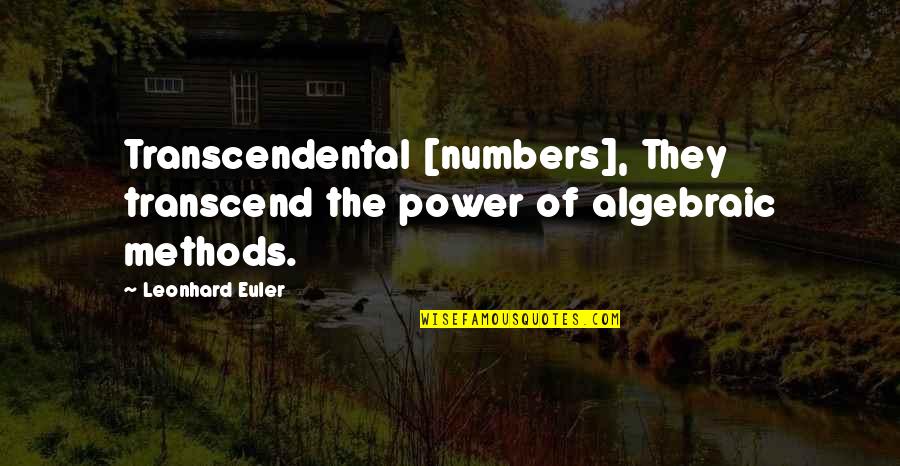 Night Duty Nurse Quotes By Leonhard Euler: Transcendental [numbers], They transcend the power of algebraic