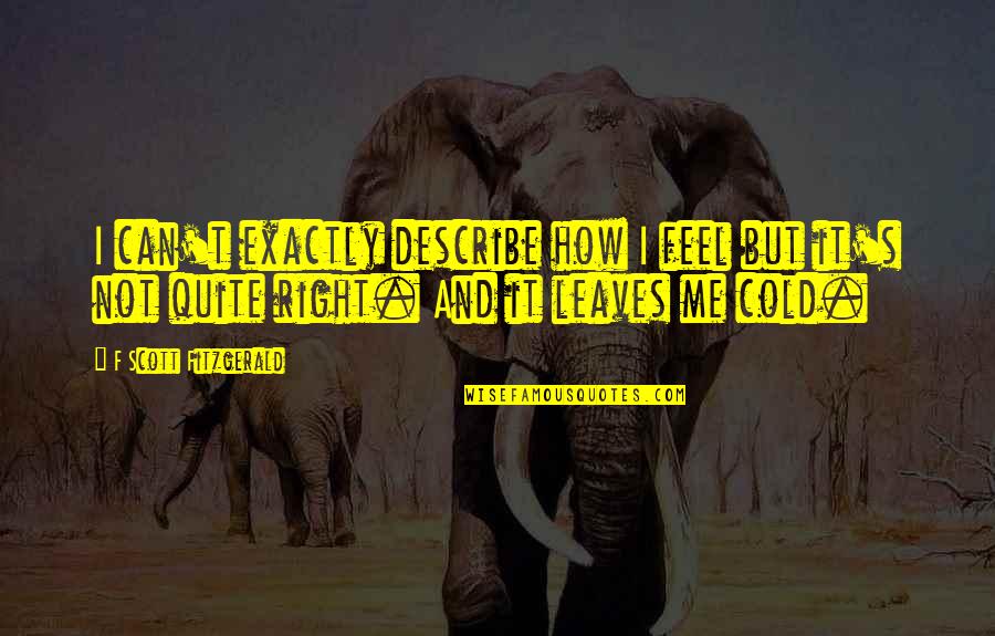 Night Out Fun Quotes By F Scott Fitzgerald: I can't exactly describe how I feel but