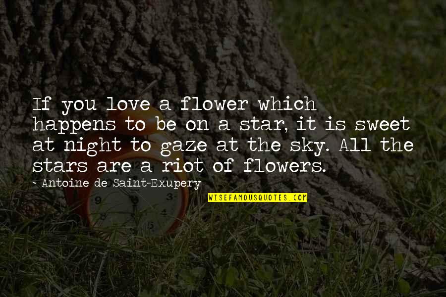 Night Sky Stars Quotes By Antoine De Saint-Exupery: If you love a flower which happens to