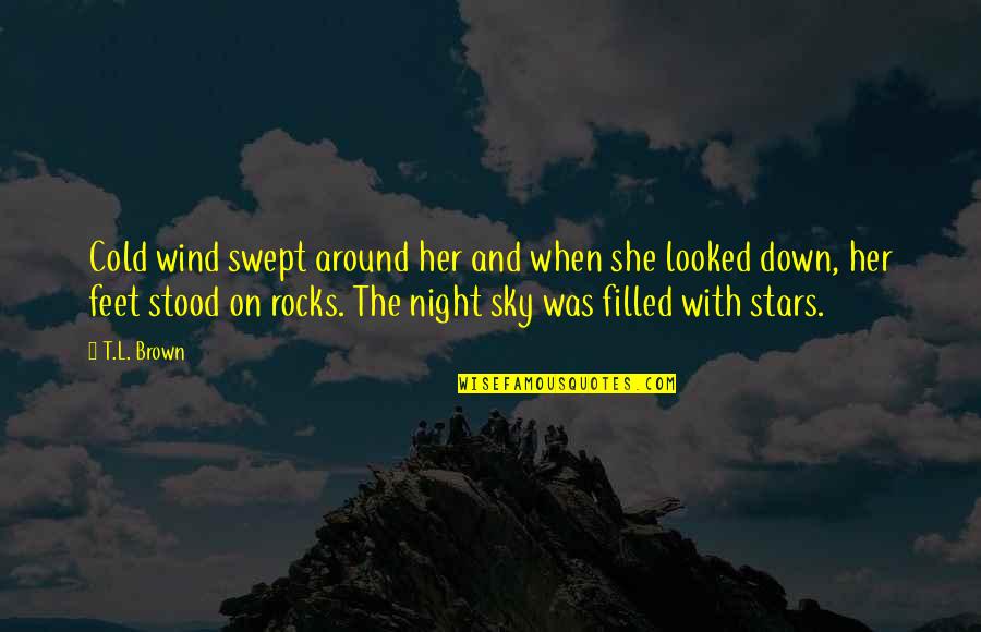Night Sky Stars Quotes By T.L. Brown: Cold wind swept around her and when she