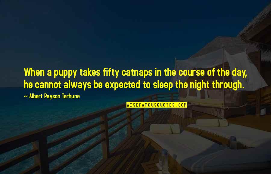 Night Sleep Quotes By Albert Payson Terhune: When a puppy takes fifty catnaps in the