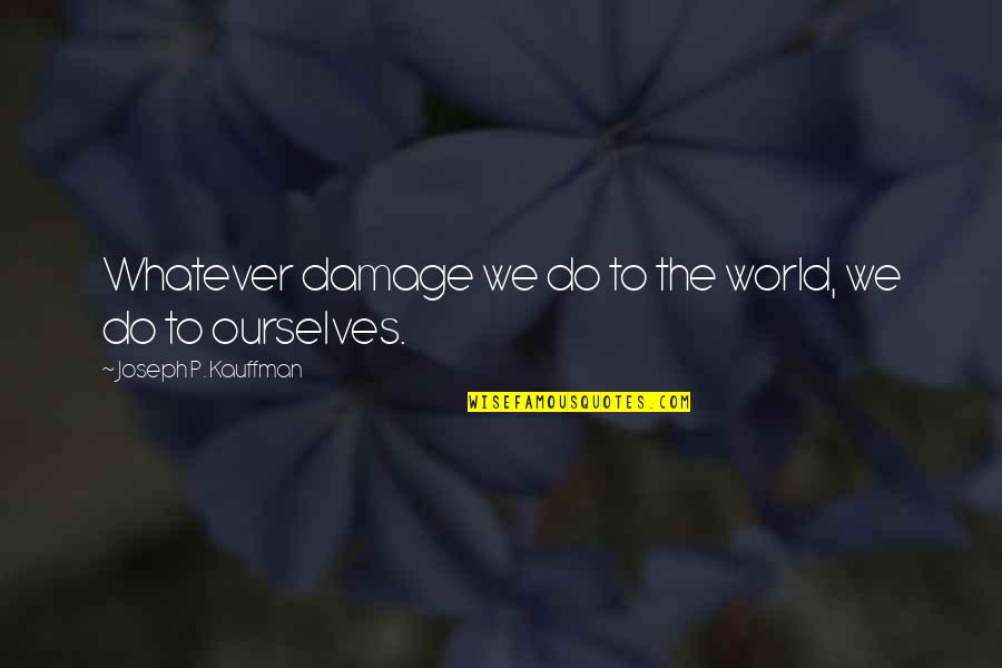 Night Time Life Quotes By Joseph P. Kauffman: Whatever damage we do to the world, we