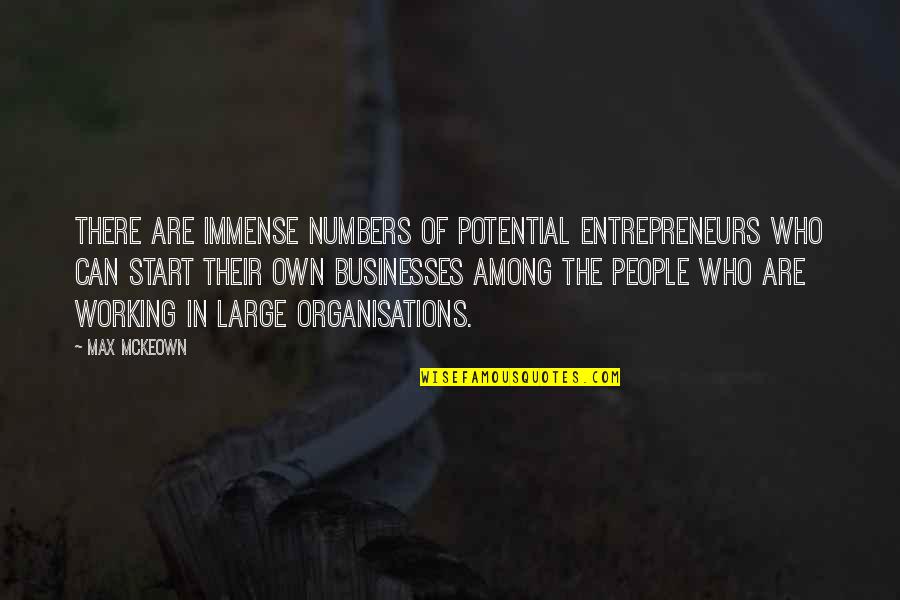 Night Time Sayings And Quotes By Max McKeown: There are immense numbers of potential entrepreneurs who