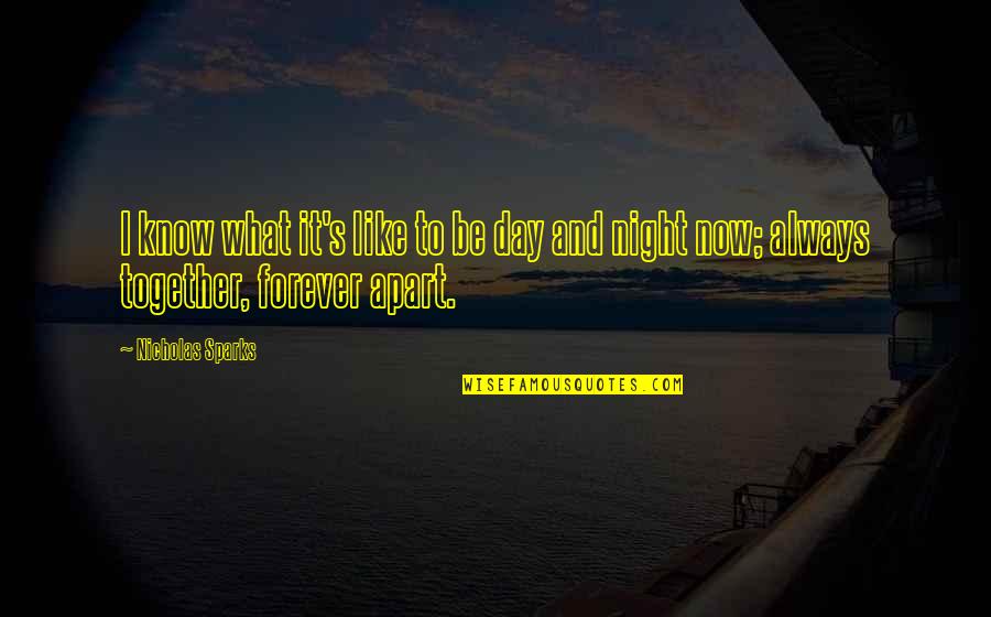 Night To Day Quotes By Nicholas Sparks: I know what it's like to be day