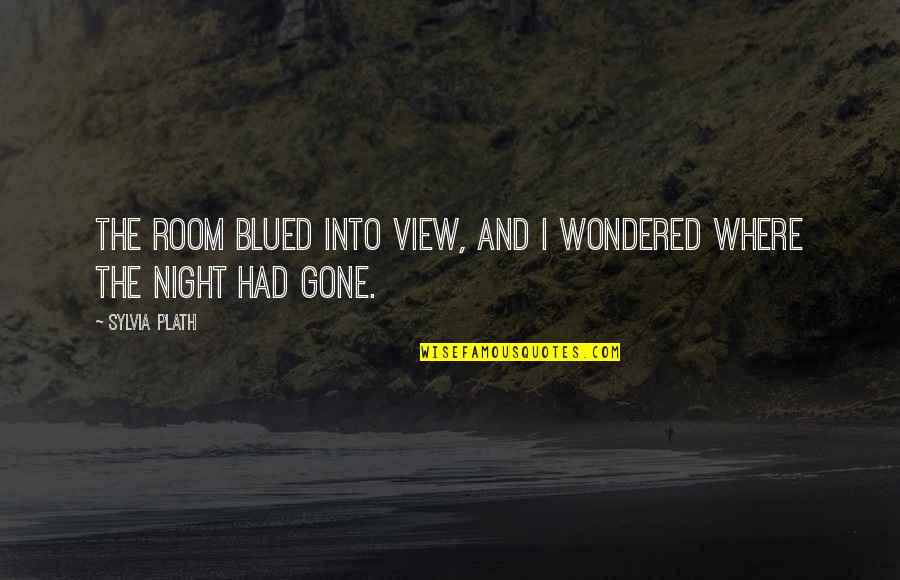 Night View Quotes By Sylvia Plath: The room blued into view, and I wondered