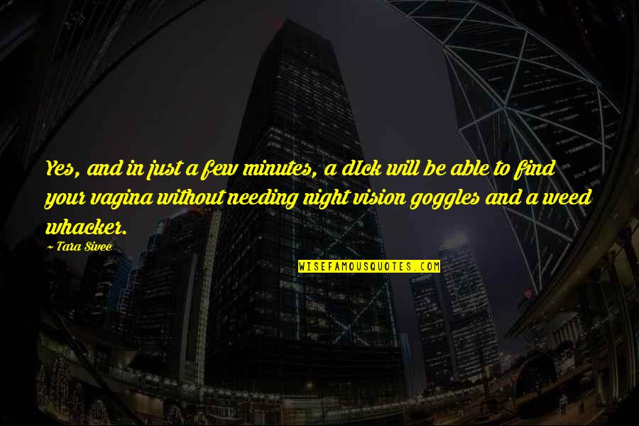 Night Vision Goggles Quotes By Tara Sivec: Yes, and in just a few minutes, a