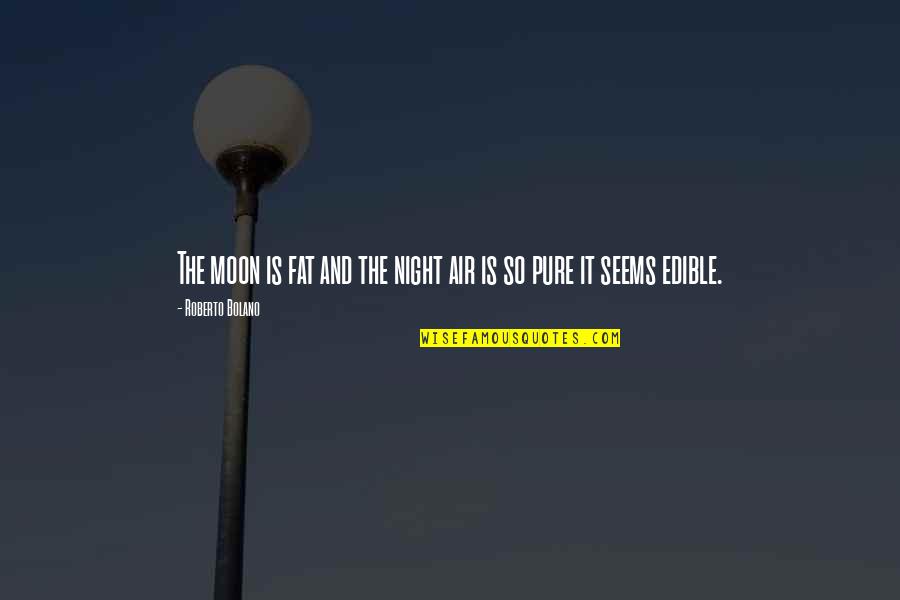 Night Without Moon Quotes By Roberto Bolano: The moon is fat and the night air Night Without Moon Quotes By Roberto Bolano: The moon is fat and the night air