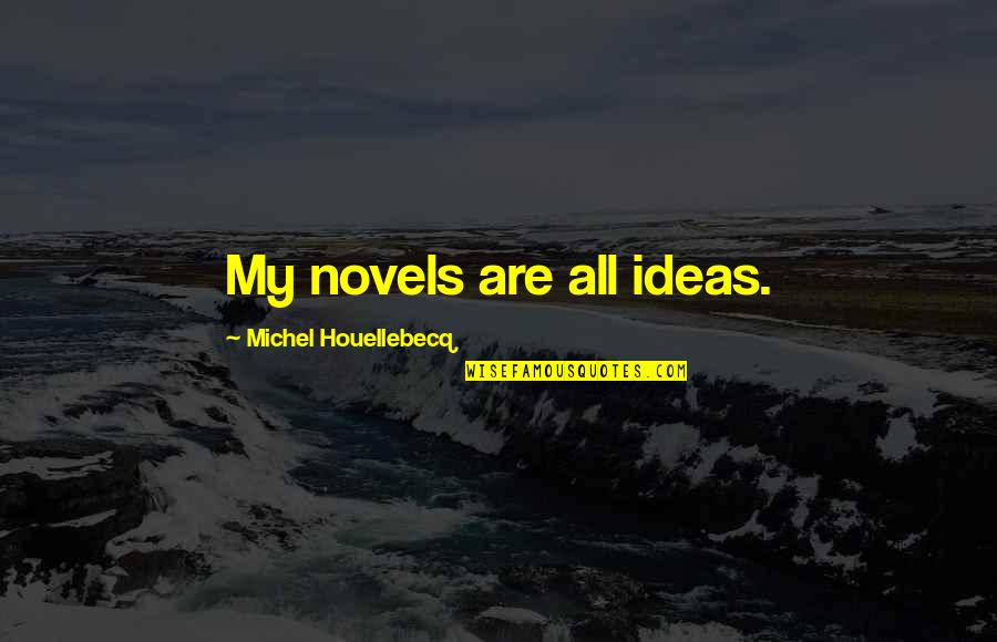 Nightcap Funny Quotes By Michel Houellebecq: My novels are all ideas.