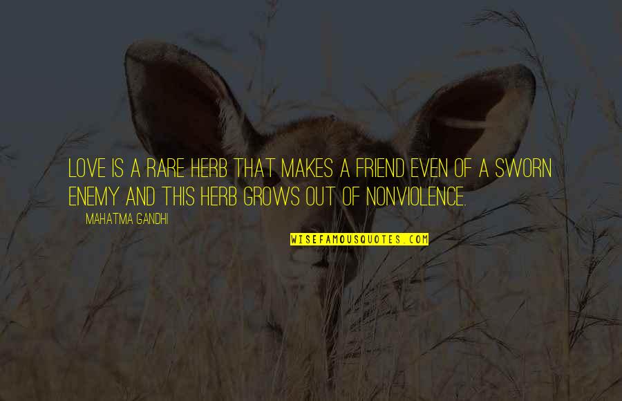 Nightly Motivational Quotes By Mahatma Gandhi: Love is a rare herb that makes a