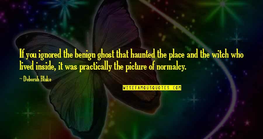 Nightshade Quotes By Deborah Blake: If you ignored the benign ghost that haunted